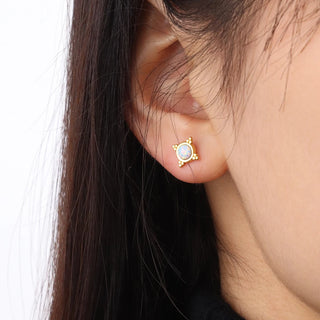 316Lサージカルステンレス ピアス  【NY01260】